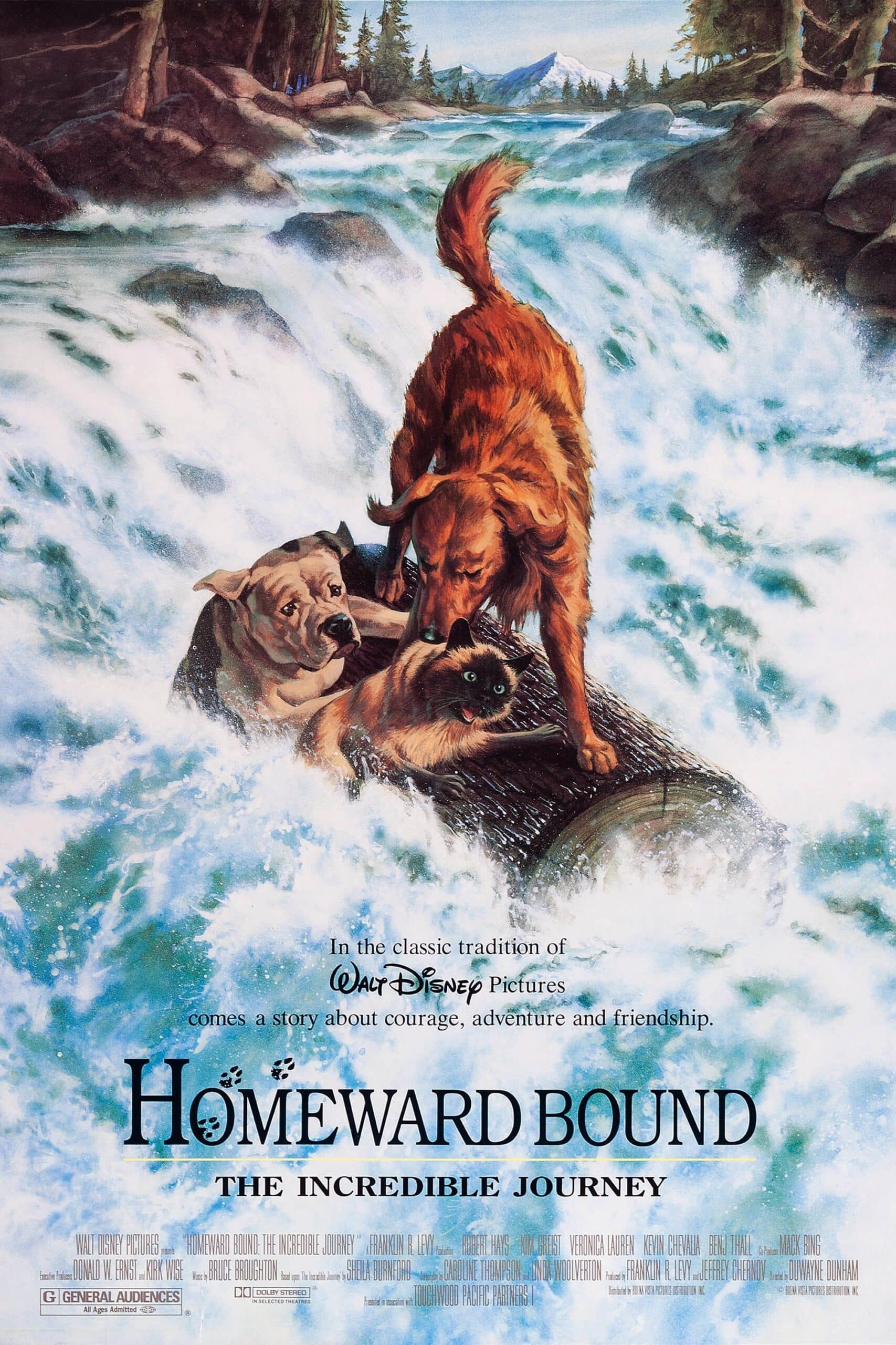 ดูหนังออนไลน์ฟรี Homeward Bound The Incredible Journey 2 1993